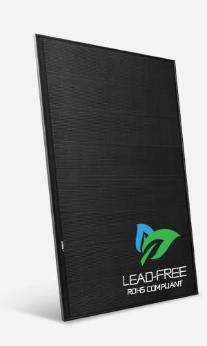 ALPHA_PURE-R-2